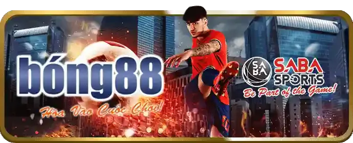 Đá gà e88 ball